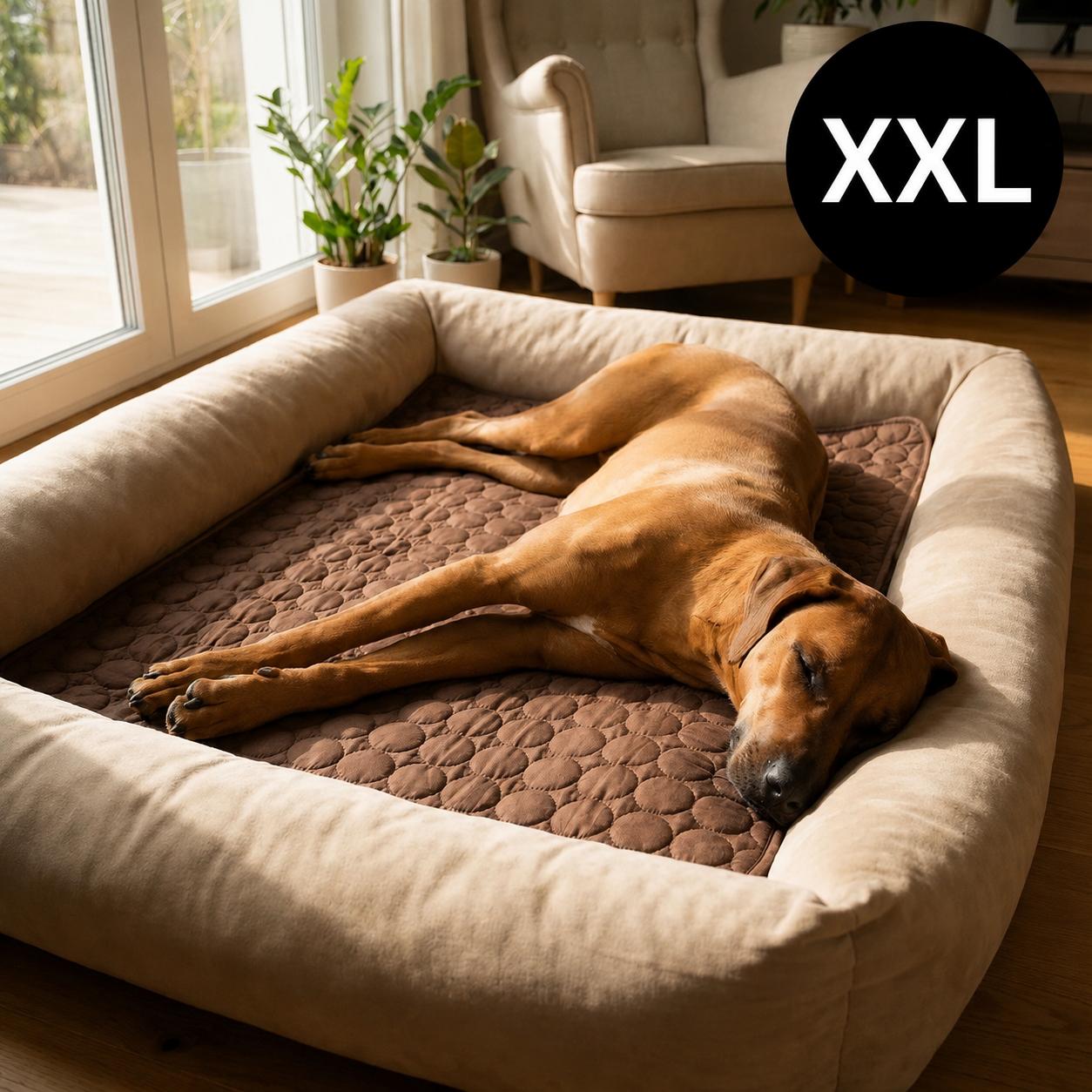 FreshMat™ – Tapis rafraîchissant pour animaux