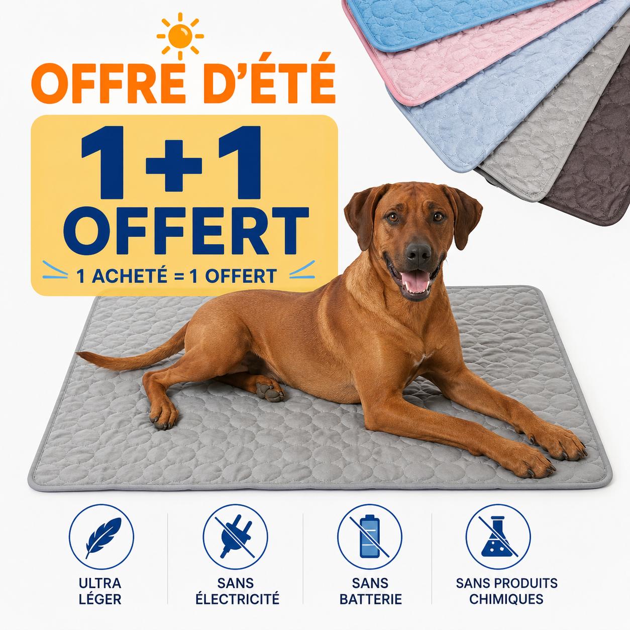 FreshMat™ – Tapis rafraîchissant pour animaux