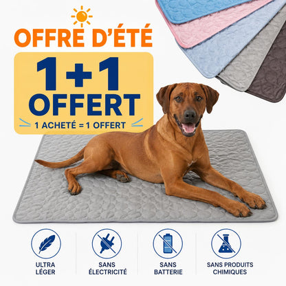 FreshMat™ – Tapis rafraîchissant pour animaux