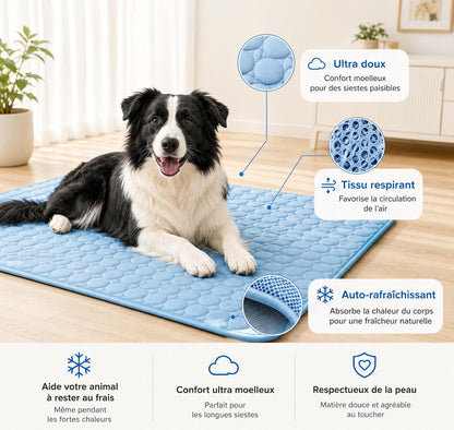 FreshMat™ – Tapis rafraîchissant pour animaux