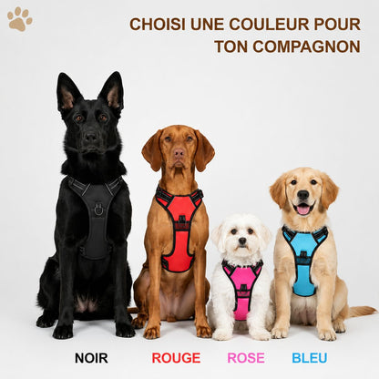 Harnais anti-traction pour chien Motenco