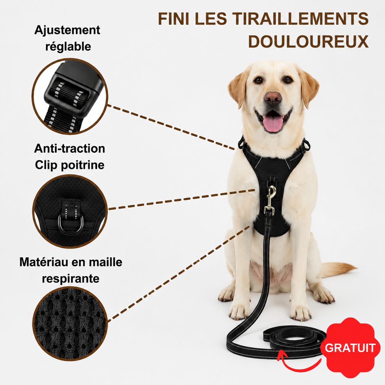 Harnais anti-traction pour chien Motenco
