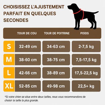 Harnais anti-traction pour chien Motenco
