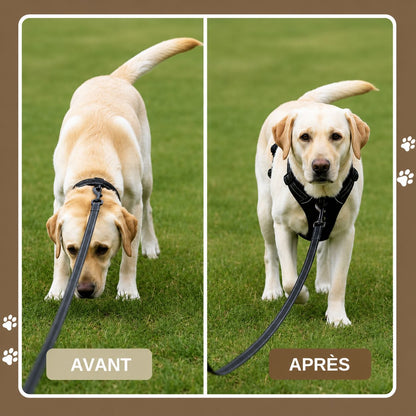 Harnais anti-traction pour chien Motenco