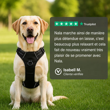 Harnais anti-traction pour chien Motenco