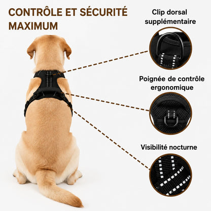 Harnais anti-traction pour chien Motenco