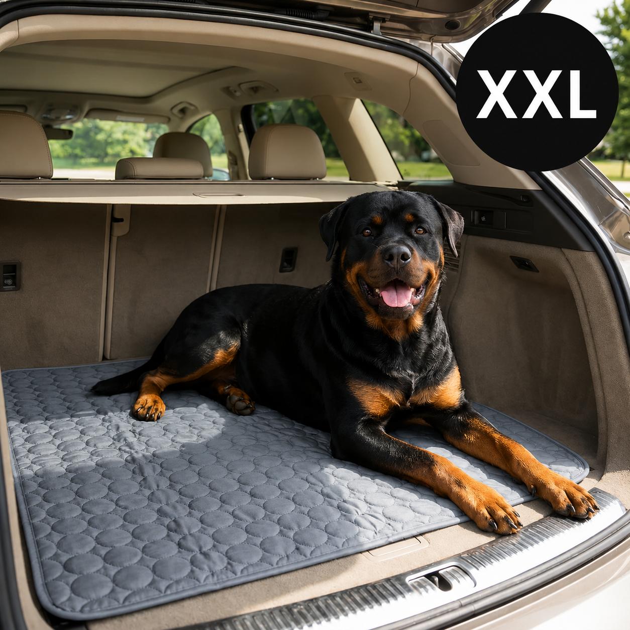 FreshMat™ – Tapis rafraîchissant pour animaux