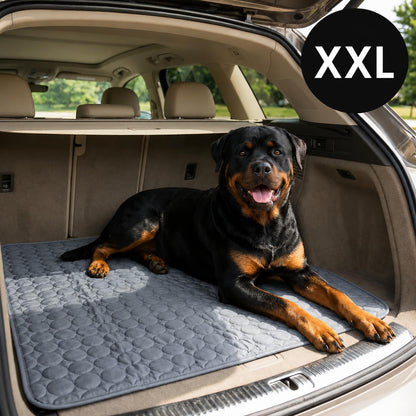 FreshMat™ – Tapis rafraîchissant pour animaux